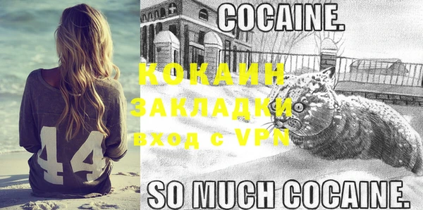 бошки Белокуриха