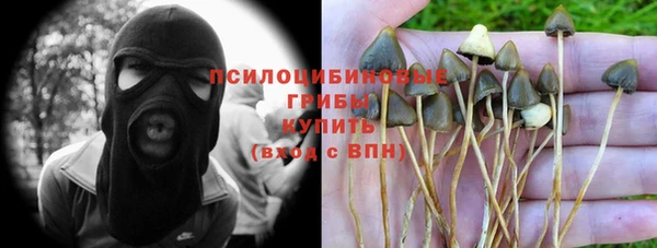 бошки Белокуриха