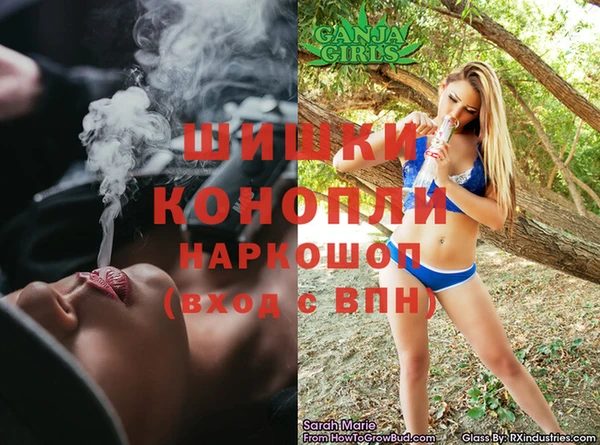 бошки Белокуриха