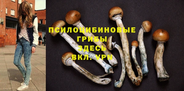 бошки Белокуриха