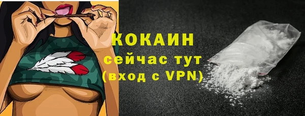 бошки Белокуриха