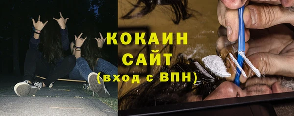 бошки Белокуриха