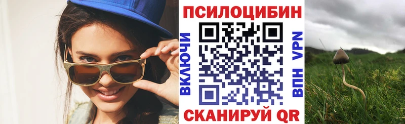 Псилоцибиновые грибы Psilocybine cubensis Воркута