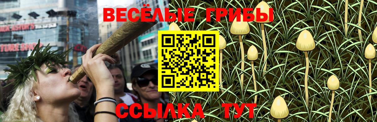 Псилоцибиновые грибы Psilocybine cubensis  Псилоцибиновые грибы прущие грибы  Вход с VPN  Воркута 