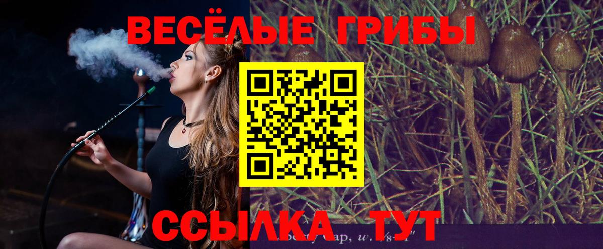 Псилоцибиновые грибы Magic Shrooms Воркута